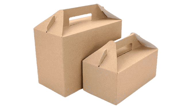 consumer-gable-bag-tuck-end-boxes-lcb (2)